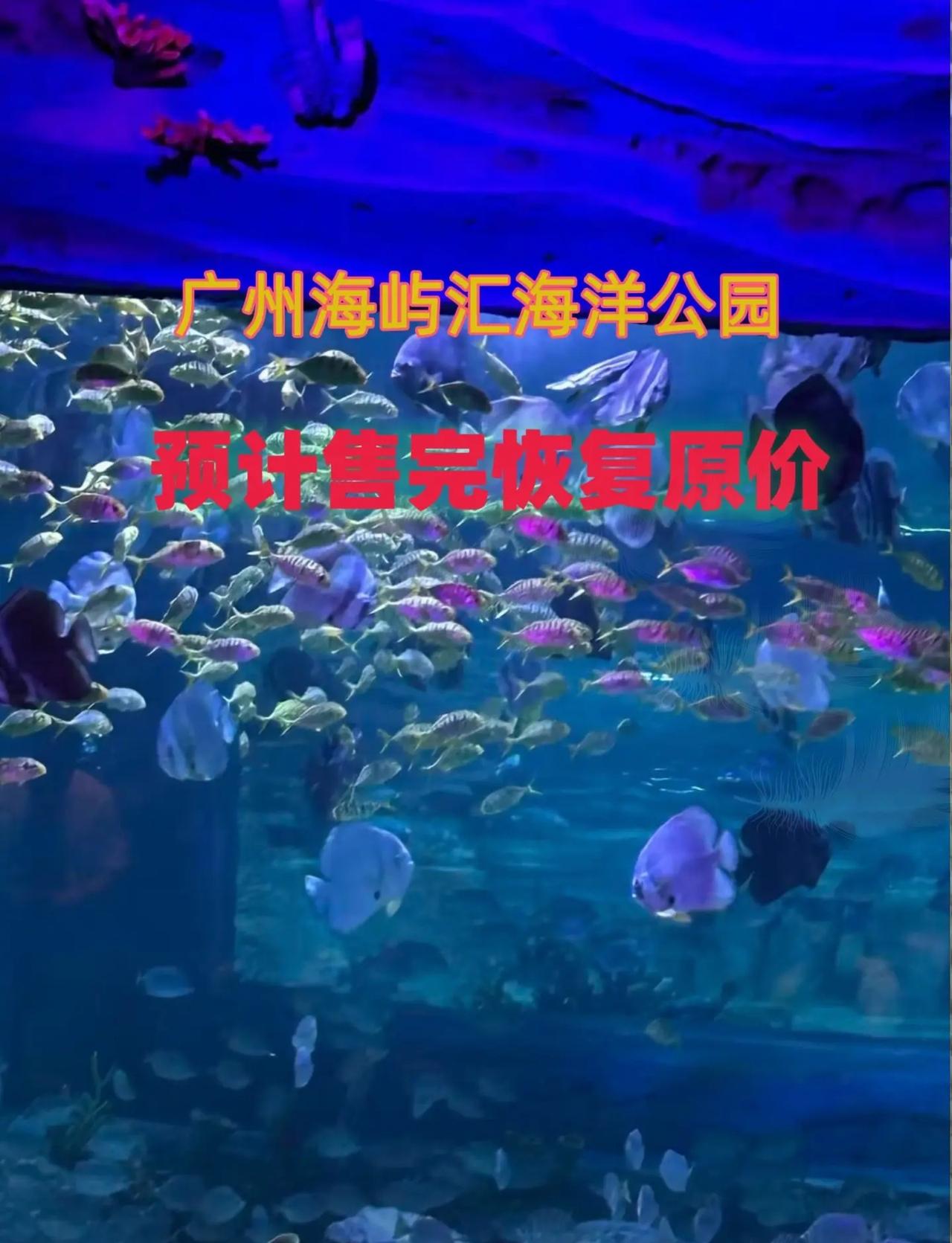 广州海屿汇海洋公园 广州海屿汇海洋公园广州 亲子游玩好去处 旅游攻略