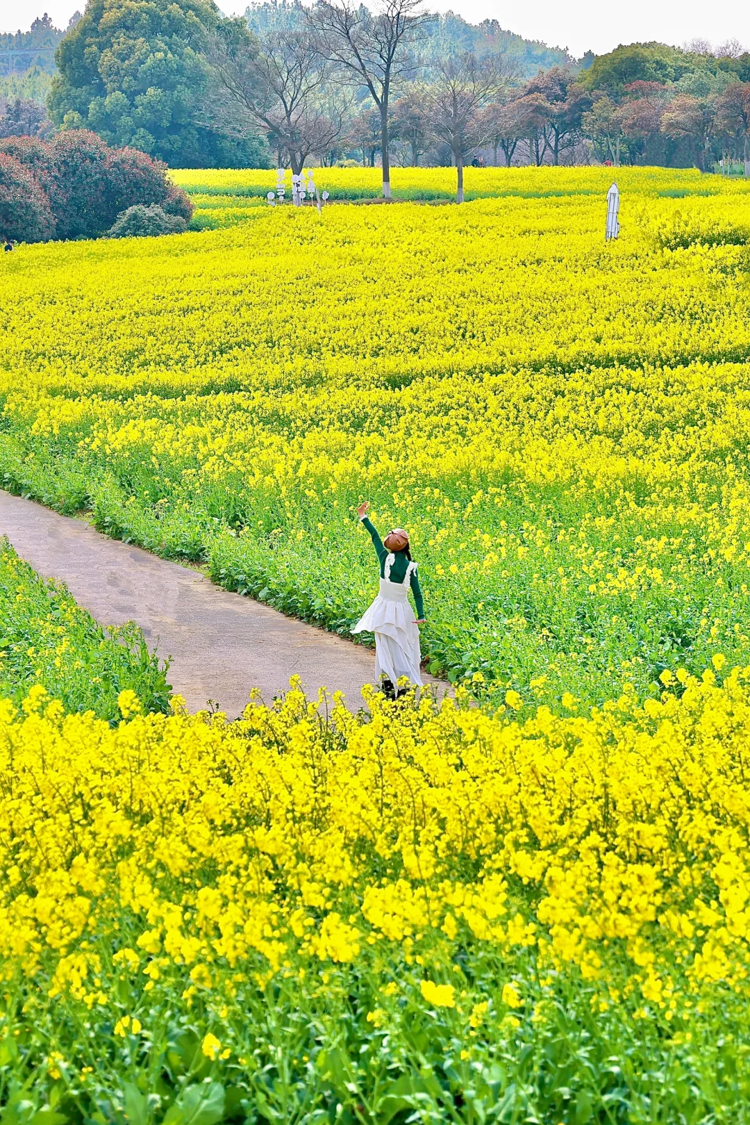 以为去了大理，没想到被南京的春天美到窒息！
