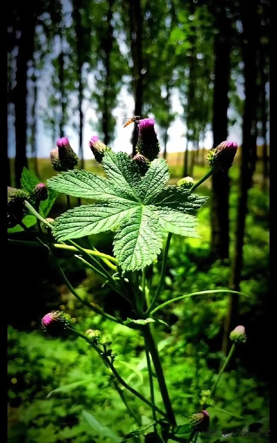 一首诗情酬岁月，
三张画意报人生。
横批：《酬与报》