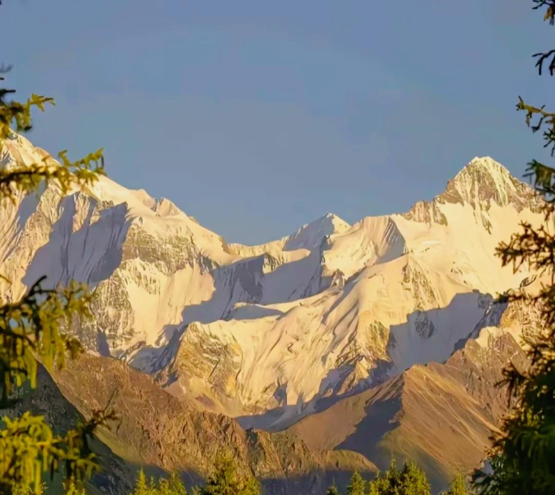 一段有智慧的话。复旦大学教授陈果：“别天天焦虑这个、焦虑那个了。能拉屎的就是好屁