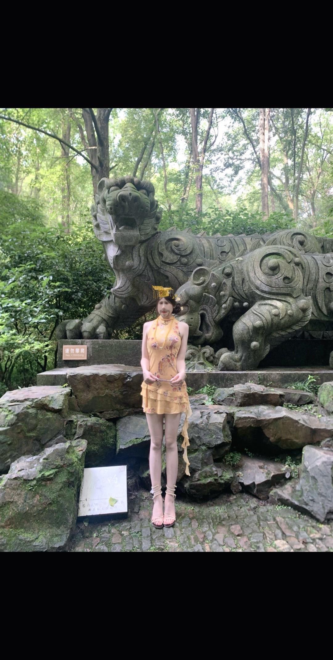 赶走虎豹豺狼让你不会再受伤