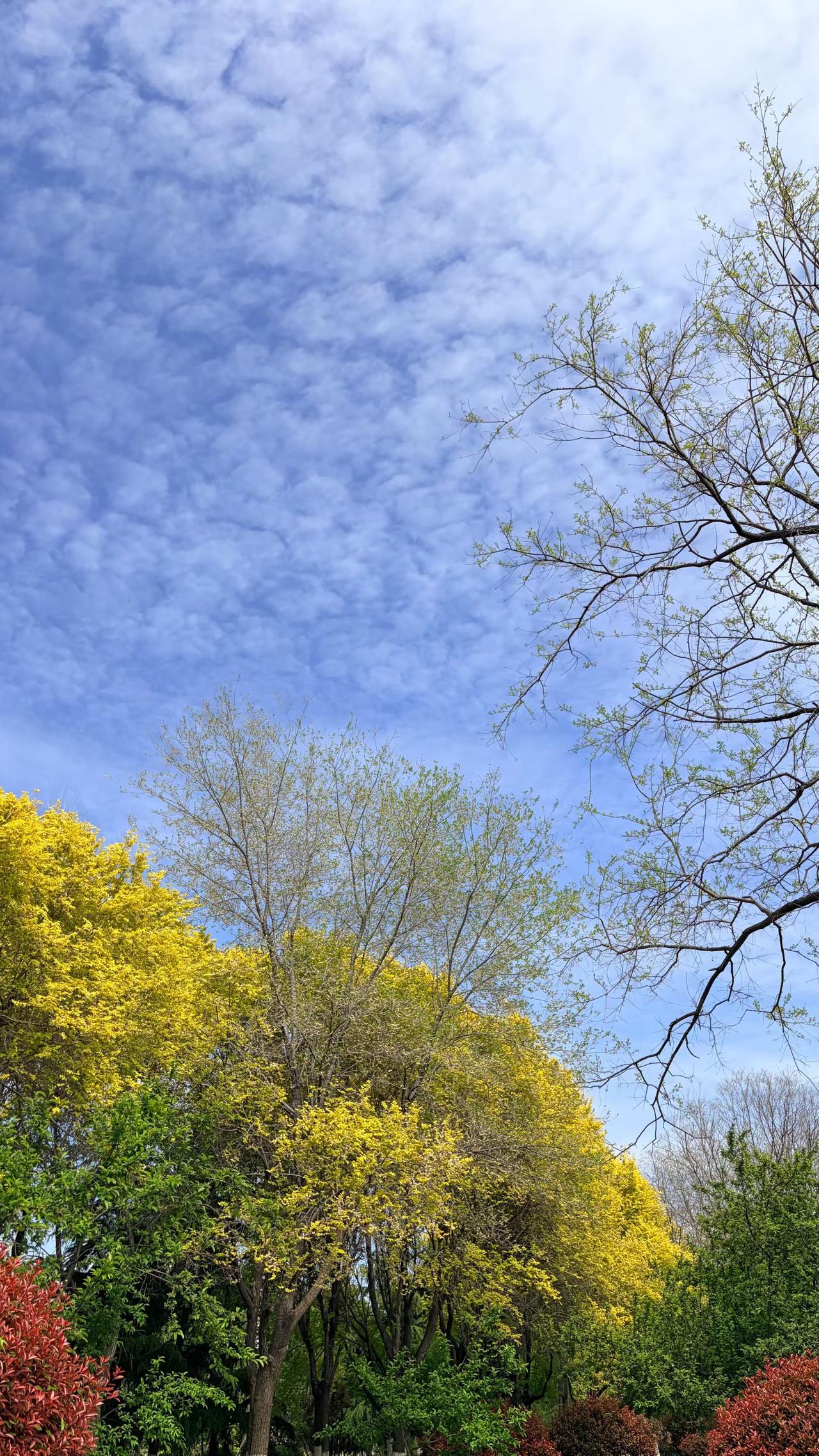 北园祊堤小石桥，春来风暖寒自消。
南坊渔夫撑船过，儿童树下折柳条。
      