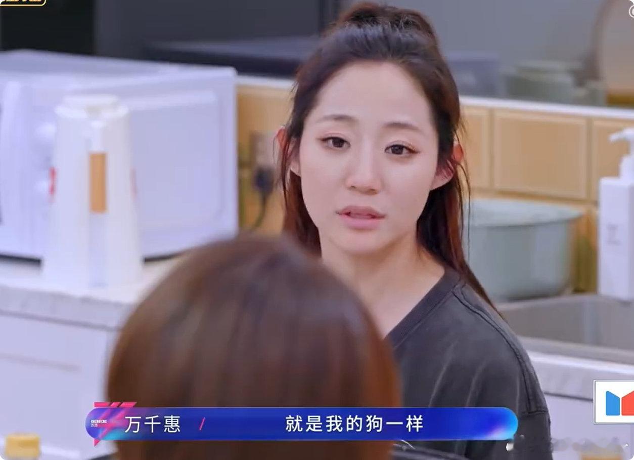 万千惠讲述领养狗狗这段好好哭真的被万千惠领养狗狗这段狠狠破防，双向奔赴太好哭了乘