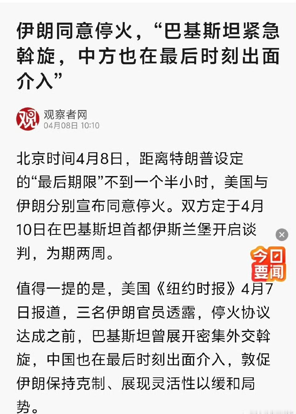 朗子:停火是兔子的功劳

鹰酱:停火是兔子的功劳。

兔子:别看我，我什么都不知