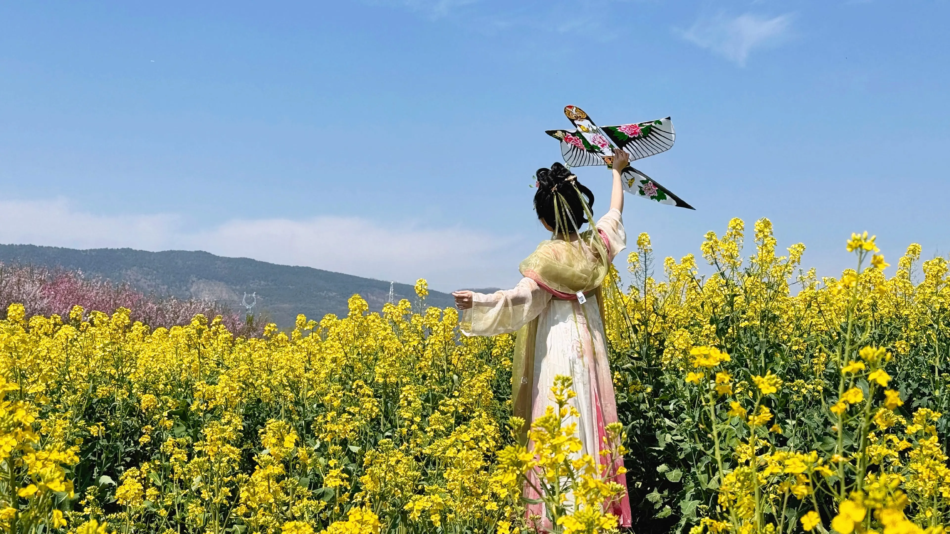 三月看一次花开。