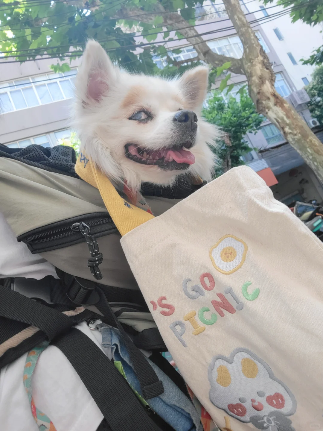 我帮妈妈拿包包✌️