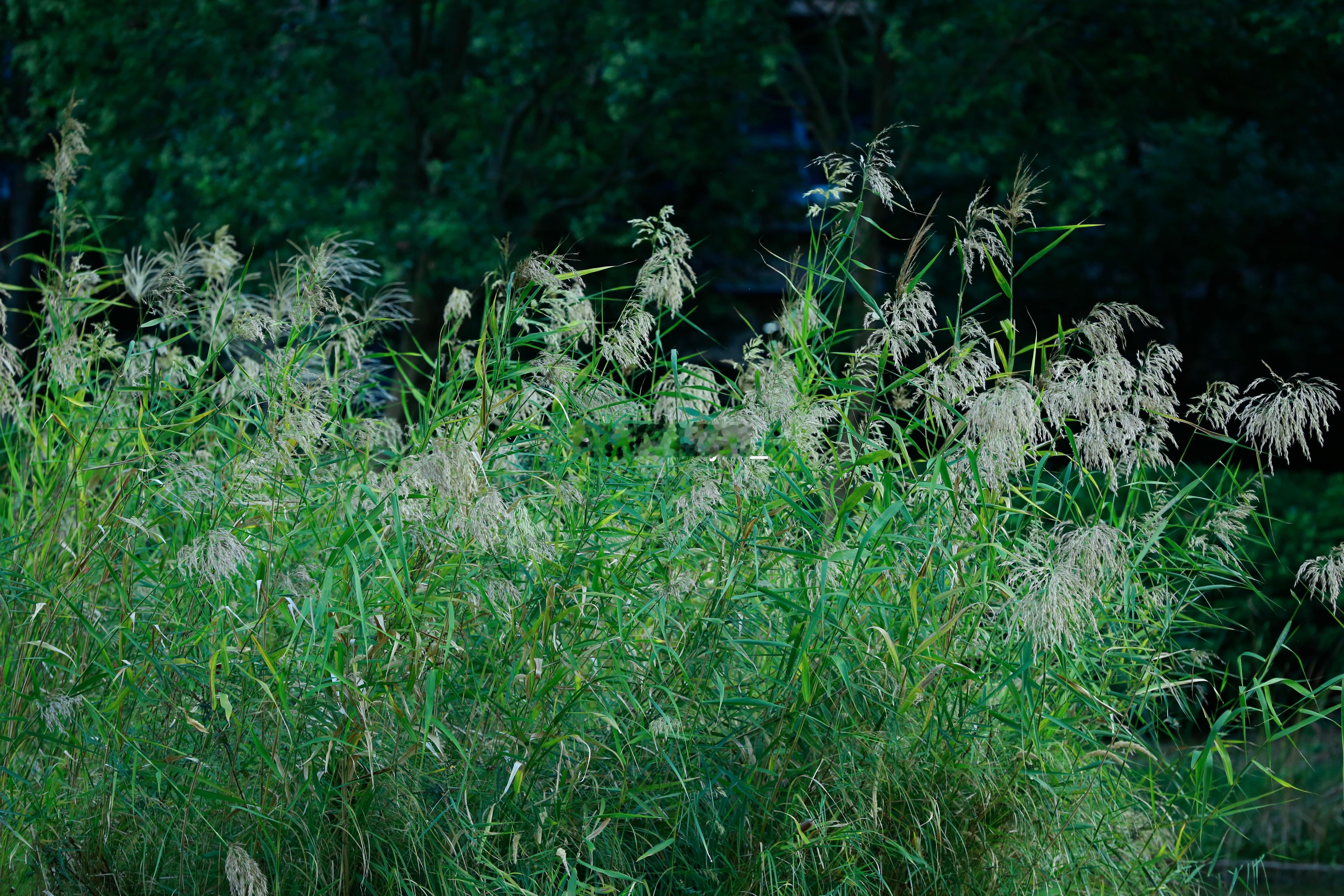 常州[超话]  随拍📸 ​​​