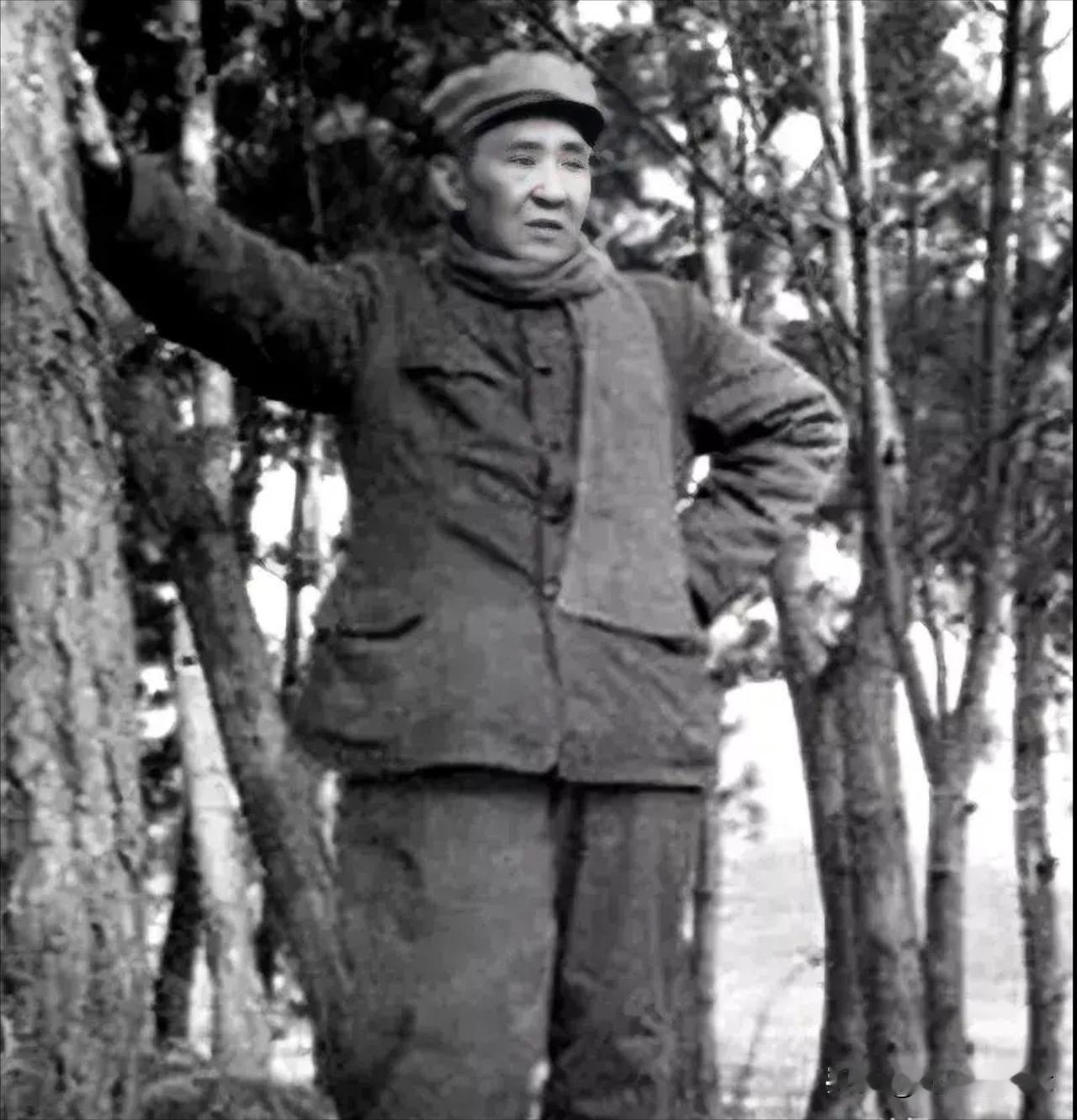 1955年李聚奎重庆遇理发匠：“司令，您怎么在这？” 背后故事让人泪目
 
19