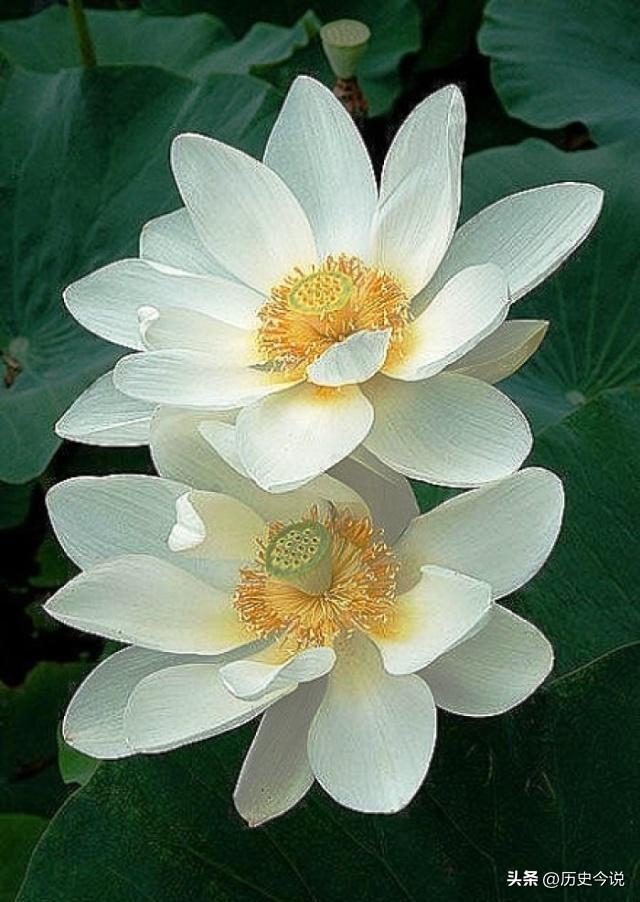 人间最好的风水：不是宅地，而是人心
 
编辑：纱娜
作者：纱娜
 
我外公是一辈