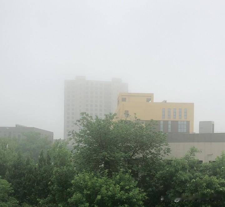 细雨绵绵，烟雨朦胧，不由想起千古名句：南朝四百八十寺，多少楼台烟雨中。
这般诗意