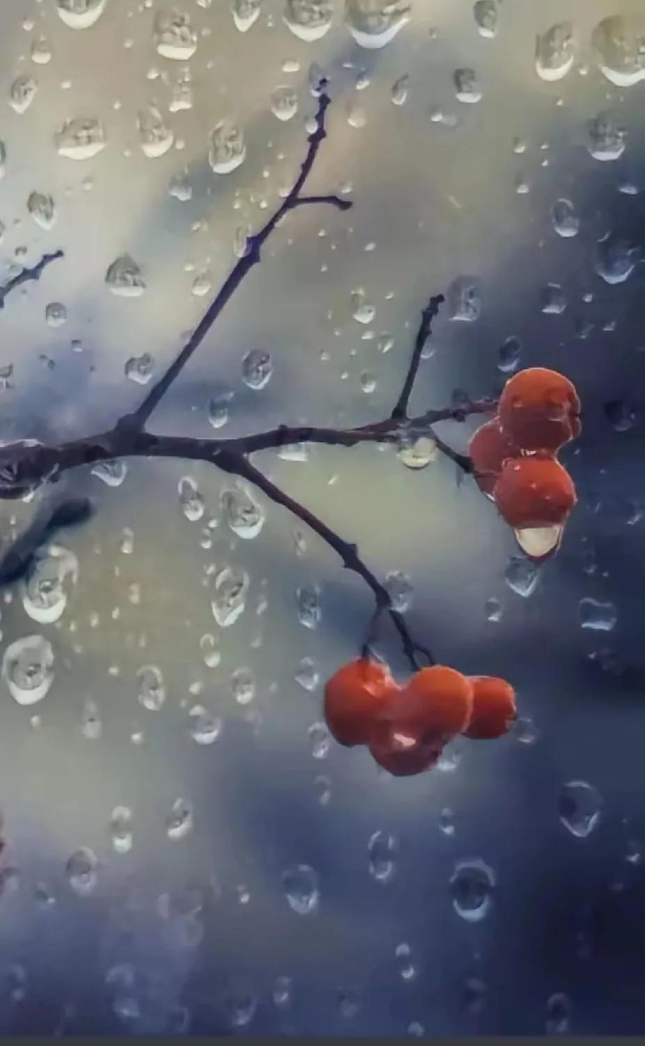 《一剪梅·冬雨》
 寒雨敲窗夜色迢。风也萧萧，雨也萧萧。残枝摇曳影孤寥，灯映廊桥