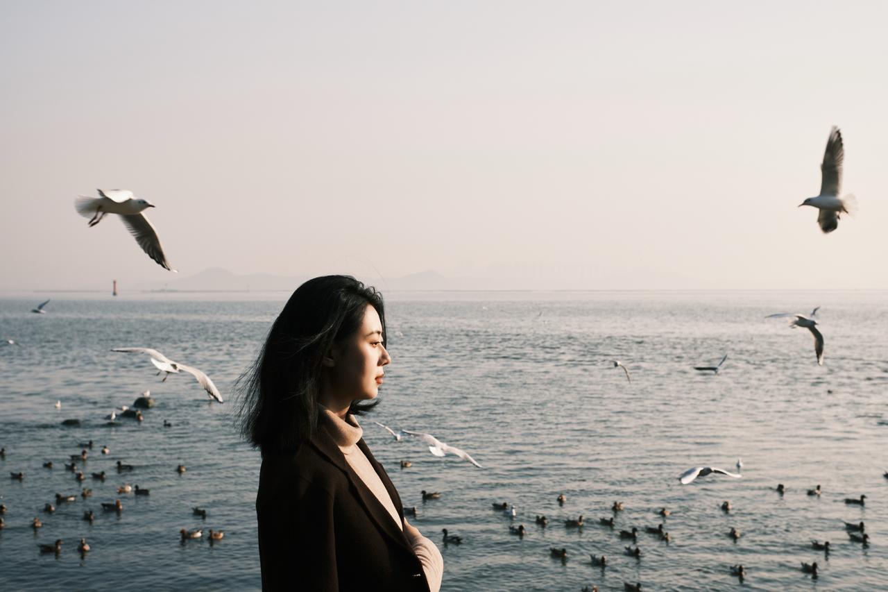 富士原图直出 深圳湾看海鸥 深圳湾公园d2 深圳摄影师约拍 海鸥