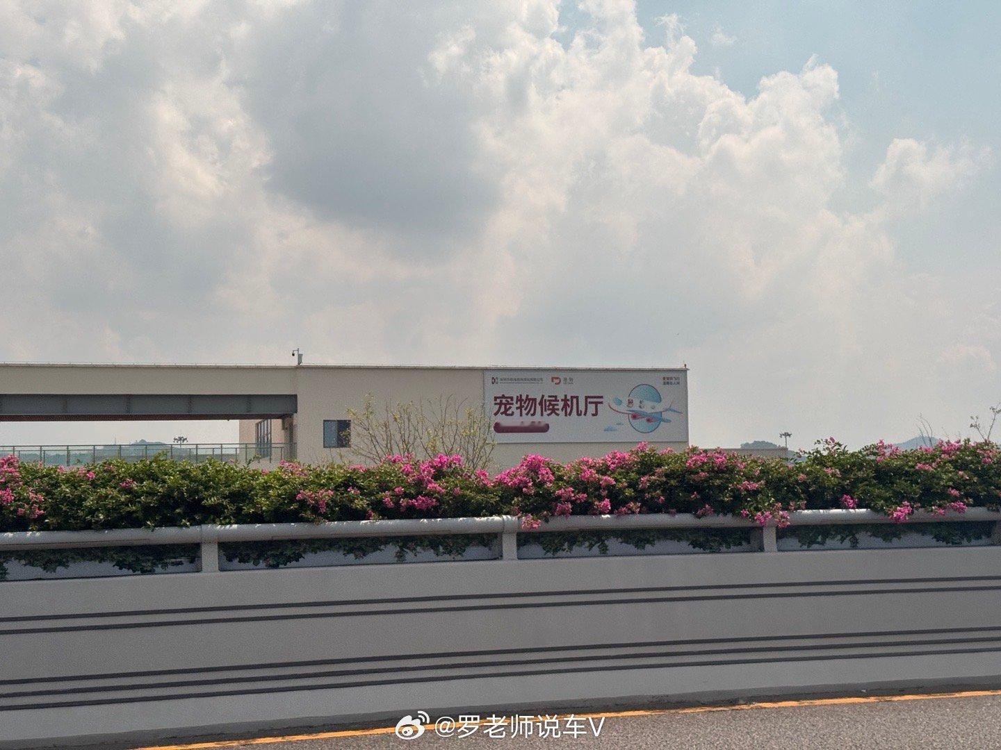 第一次发现深圳机场还有个专门的宠物候机厅汽场全开 ​​​