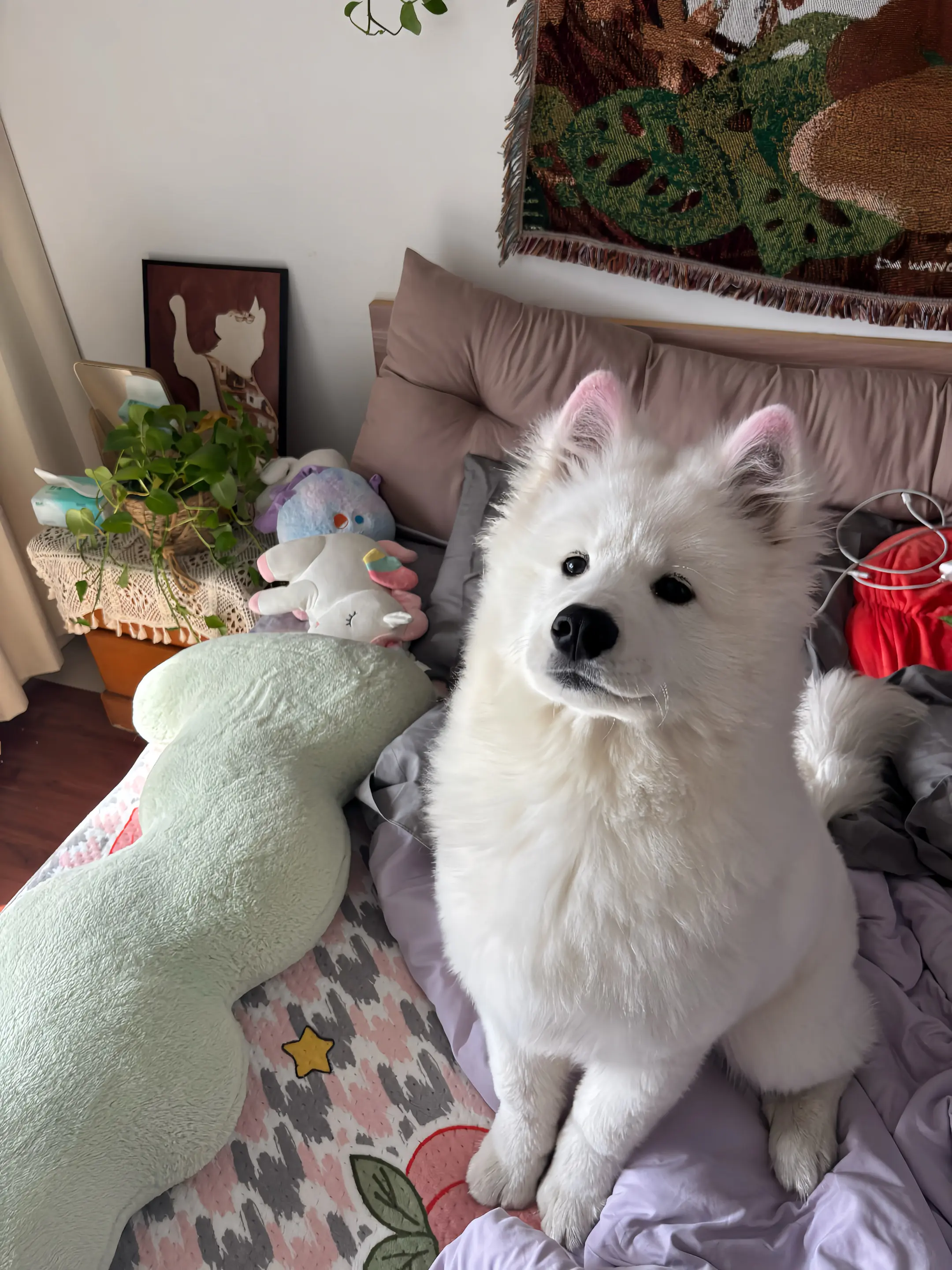 好狗狗得到名声 坏狗狗得到一切