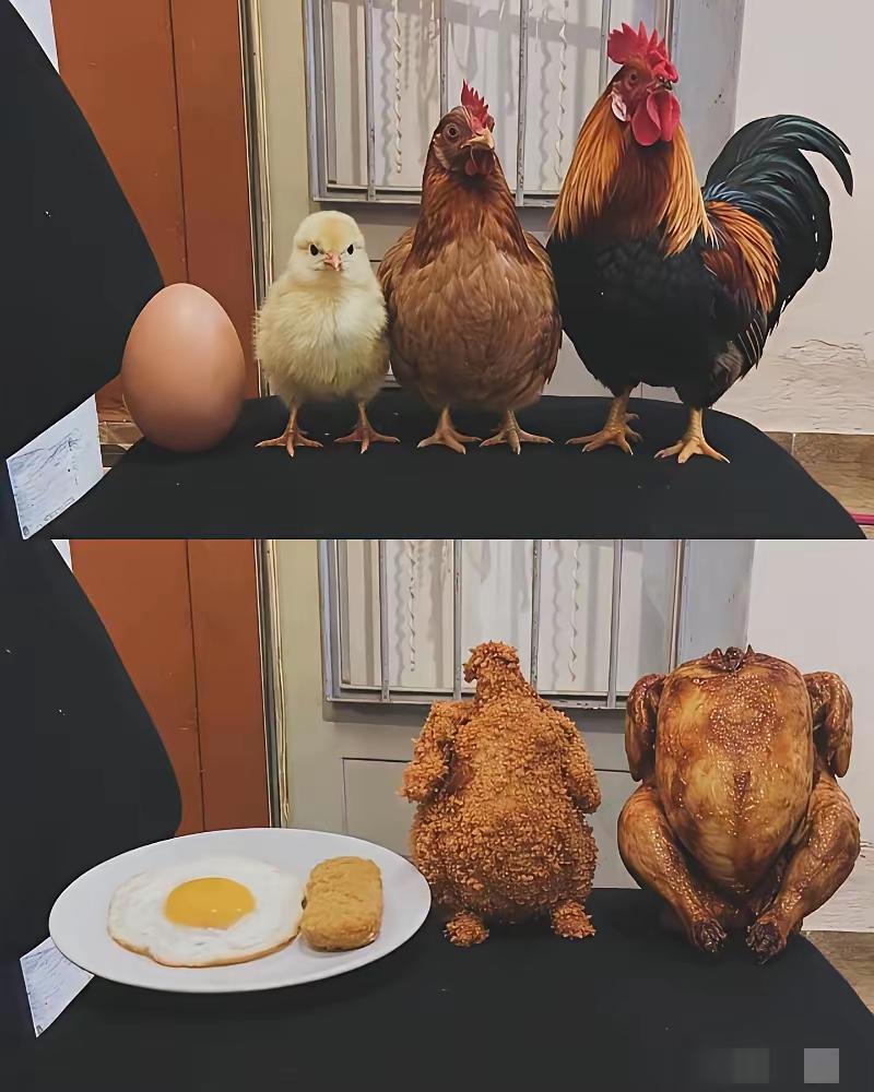 过年了要团聚，一家人整整齐齐