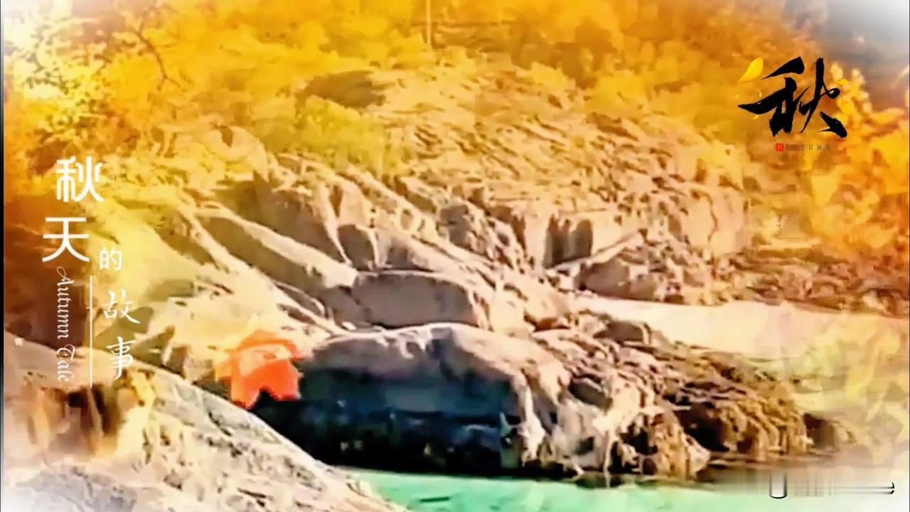 秋韵#秋景秋韵分享# #霜降之秋# #一秋仿佛# #秋映#