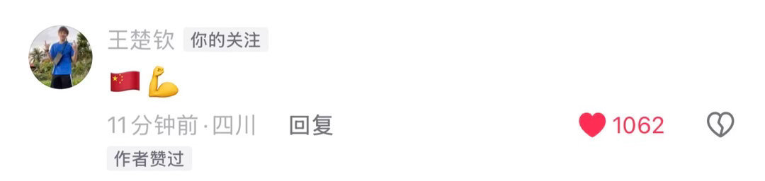 王楚钦 楚钦:🇨🇳💪 好宝宝好领军