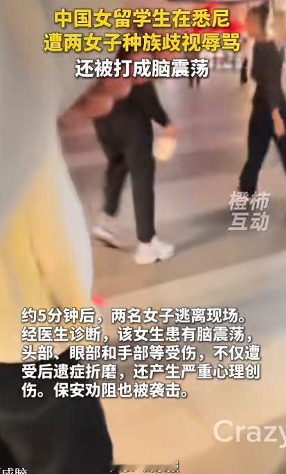 这能怪的了谁？
4 月 29 日澳州街头恶性事件传开，悉尼市中心光天化日之下，两