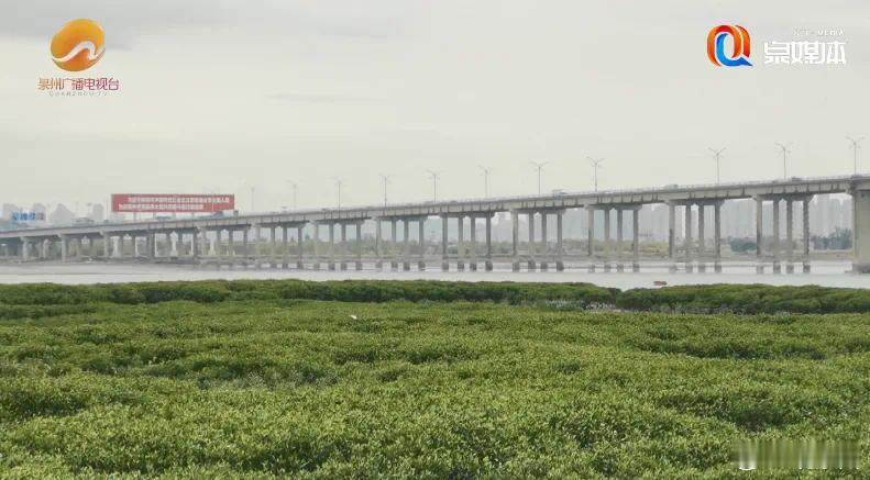 福建两渔民勇救轻生男子 近日福建泉州后渚大桥附近海域，一名男子跳海轻生危急时刻，