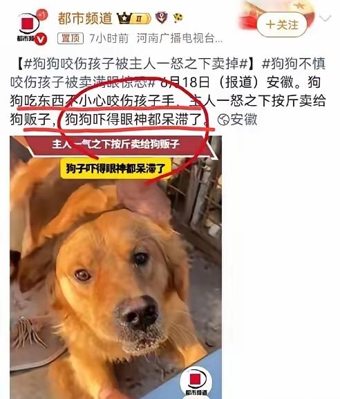 就狗咬小孩这事儿，正常人不都先心疼娃吗？小家伙平白无故被咬，疼得直掉眼泪也就算了