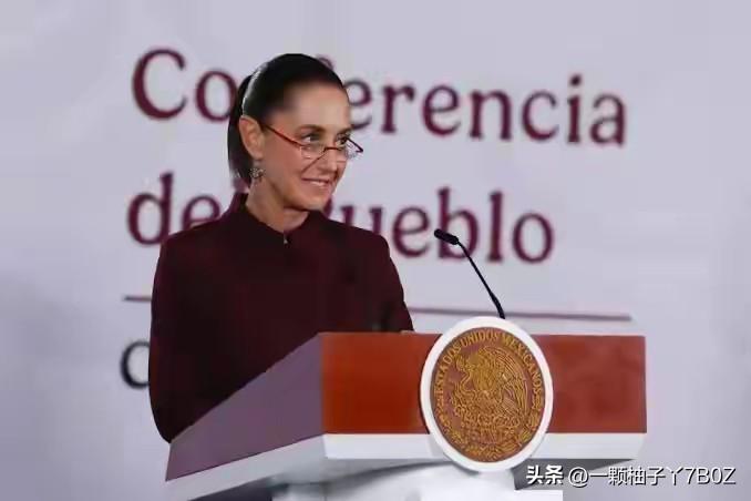 秘鲁和墨西哥僵持大半年的外交僵局终于松了口气。前总理贝特西·查韦斯因涉嫌参与未遂