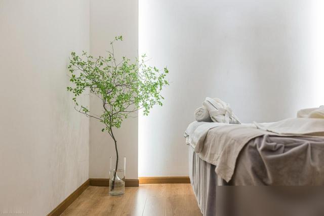 谁懂啊！最近被马醉木戳中审美心巴了！

刷到好多人说它是“观叶植物爱马仕”，枝叶