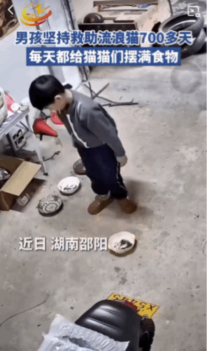 太暖心了。湖南邵阳一名小朋友自己的压岁钱不买玩具也不买零食。他用压岁钱专门买猫粮