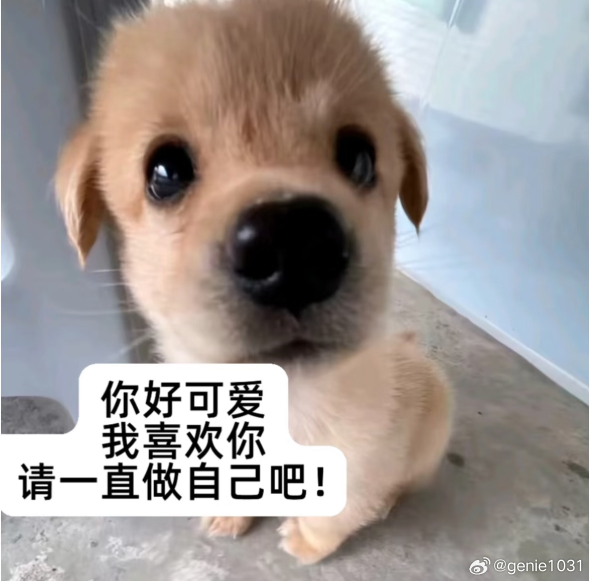627小博to小战： 