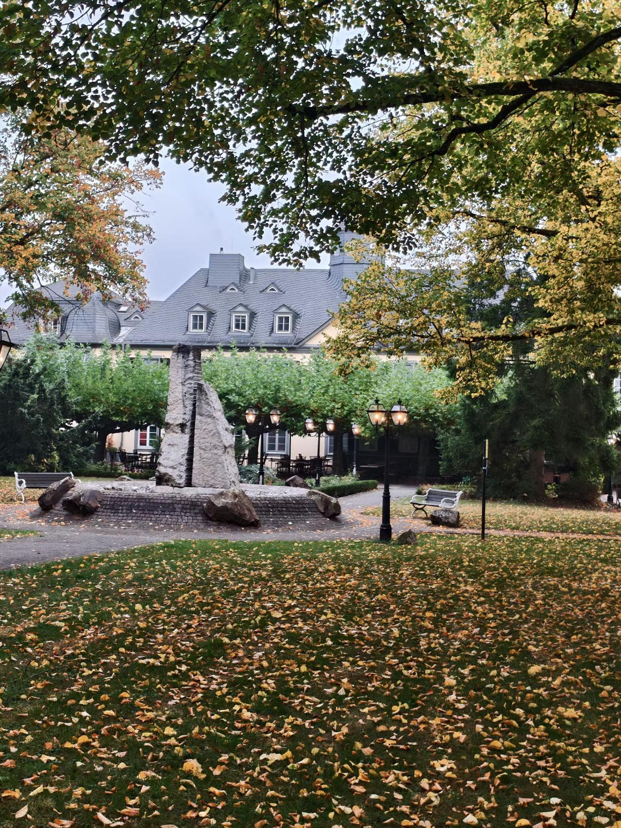 秋天公园里的落叶真美丽。
风踩过金箔似的叶尖，
每一步都漏下半片秋阳。