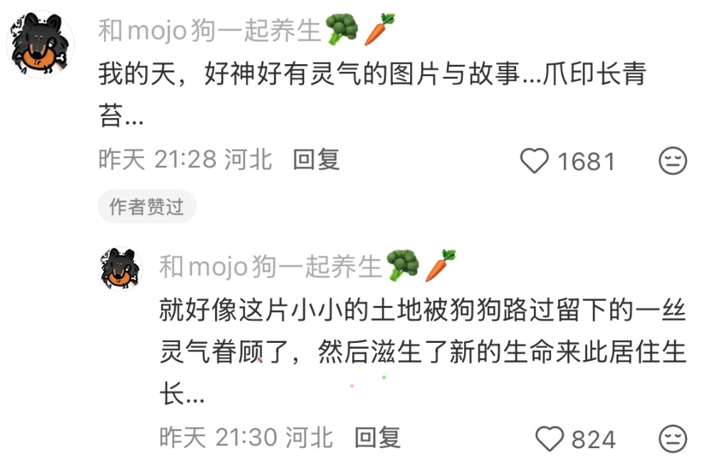 小狗来过的痕迹，被春天酿成了一捧青苔。也是对你思念的回响。