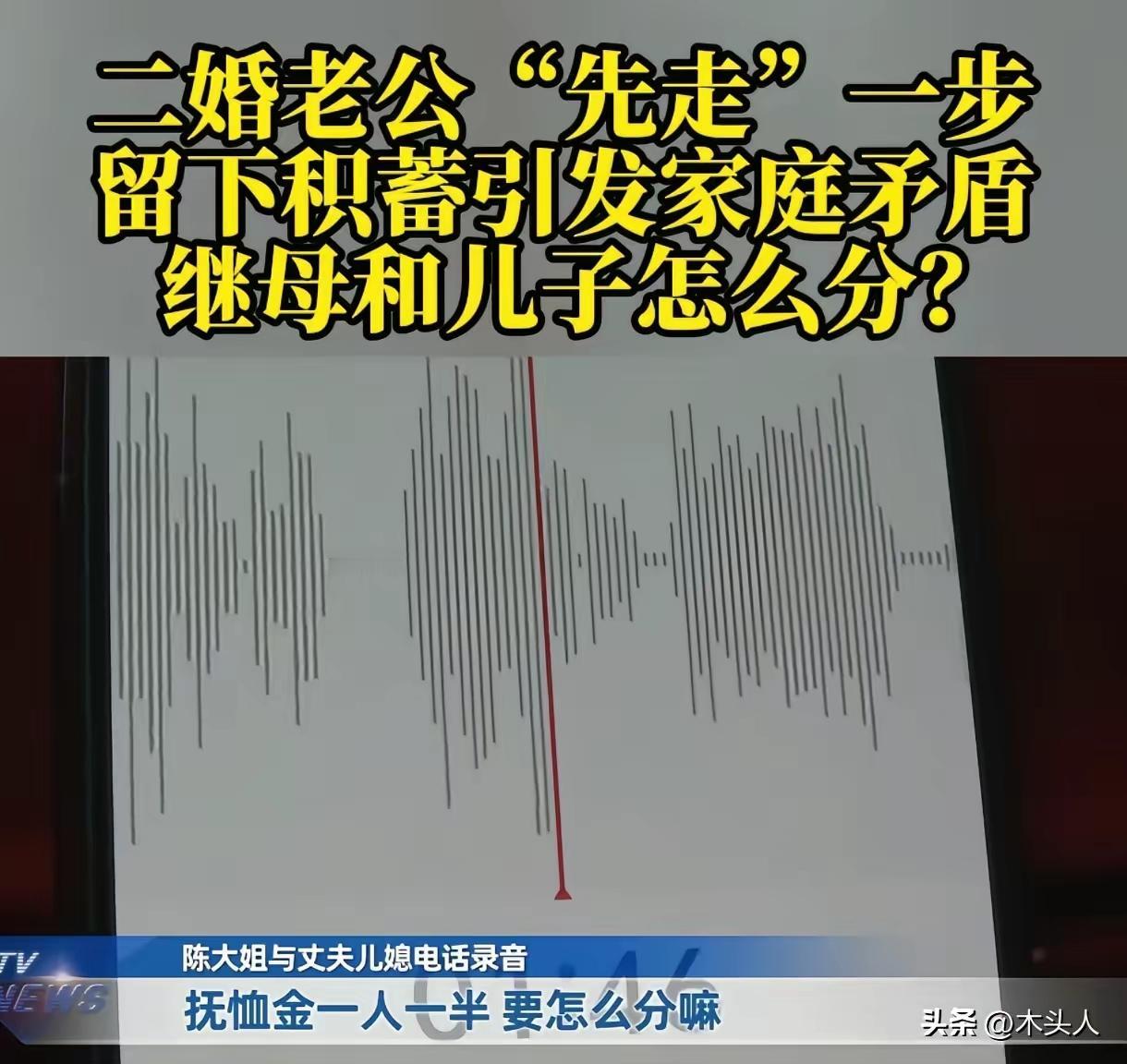 这是一个关于婚姻、继承与家庭关系复杂性的真实案例，涉及法律、情感和道义的多重考量