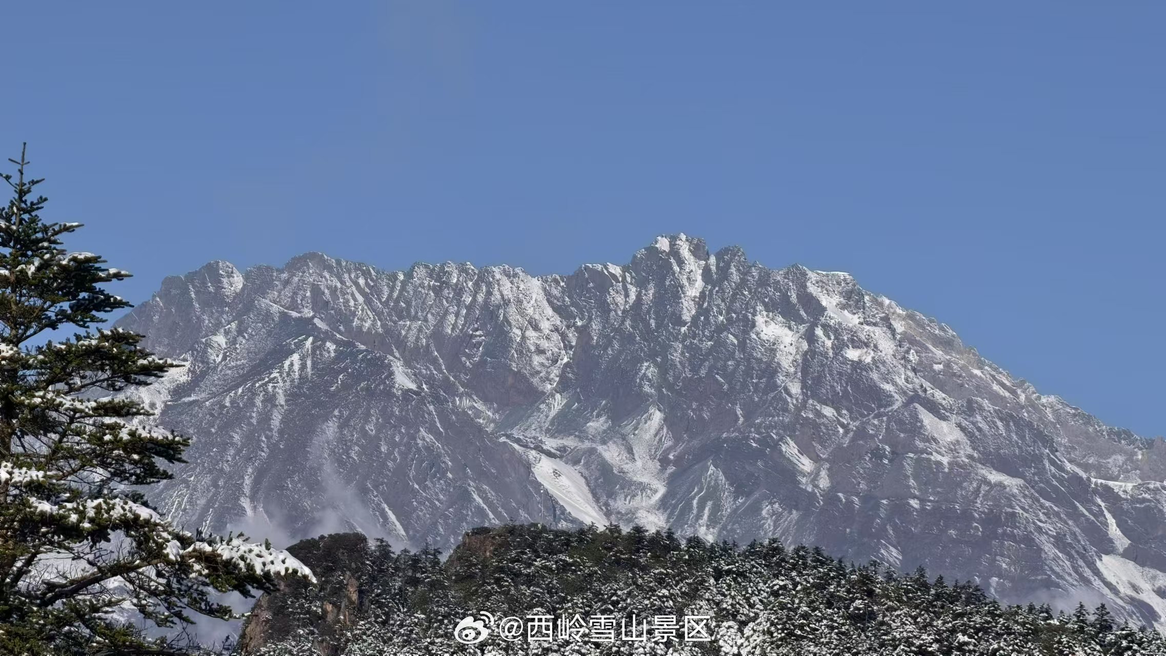 昨夜北风紧，今朝雪满山。梅花独自放，清香满人间。#雪景##西岭雪山# ​​​