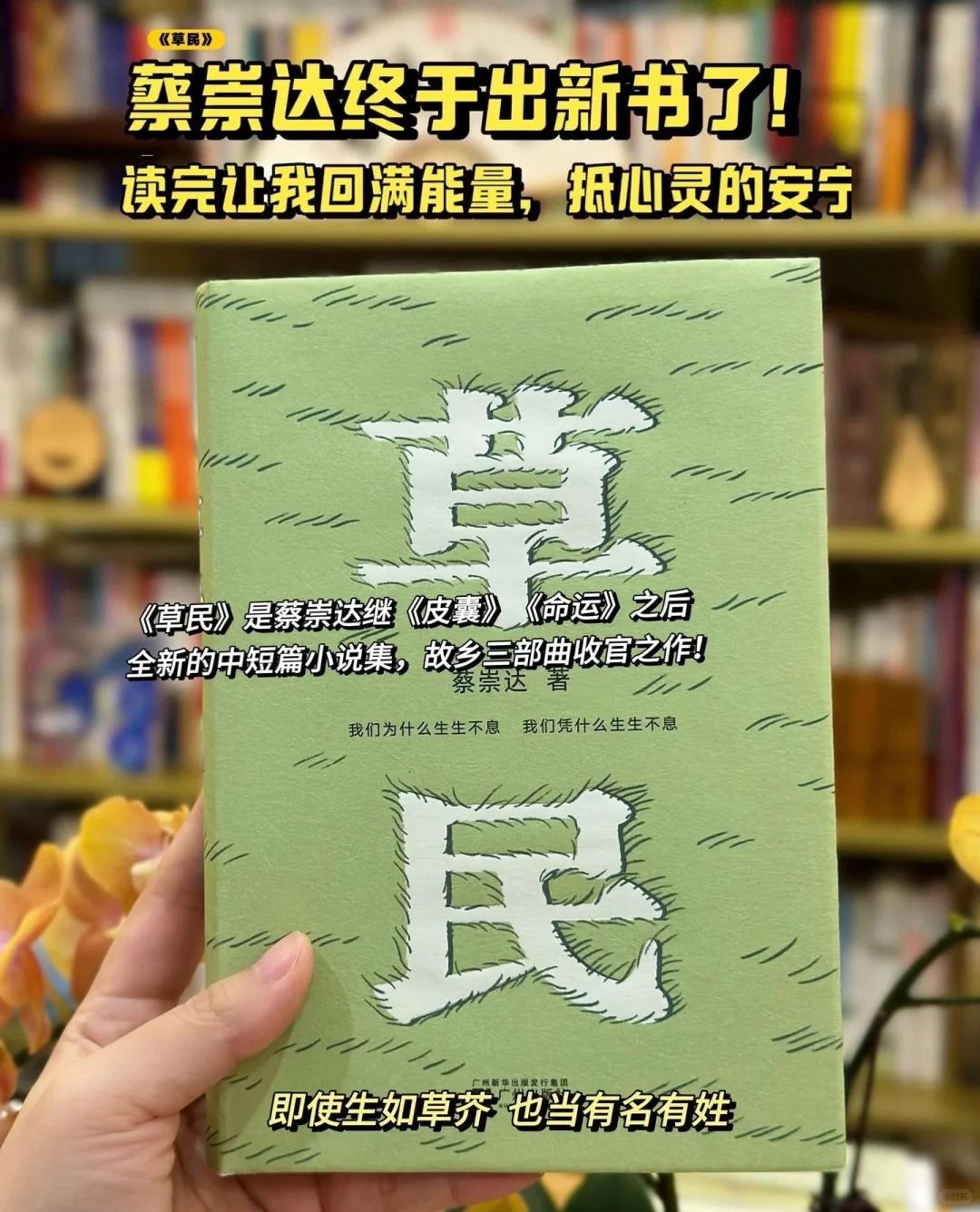 《草民》