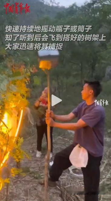 夏天除了吃西瓜吹空调，还能玩出什么新花样？云南人直接解锁了一项全网羡慕的夏日限定