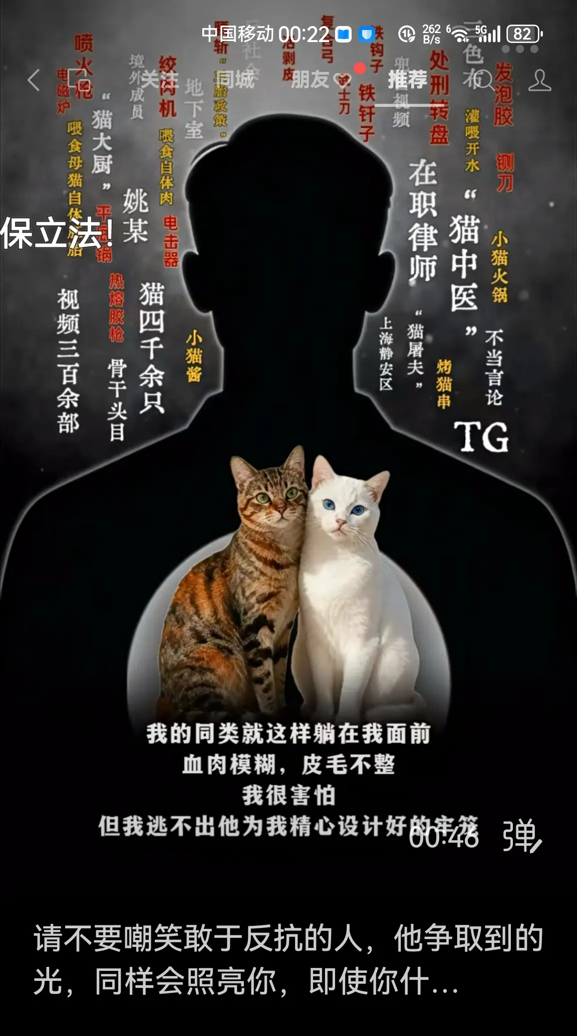 我为4000只小生命发声，支持国家出台动物保护法