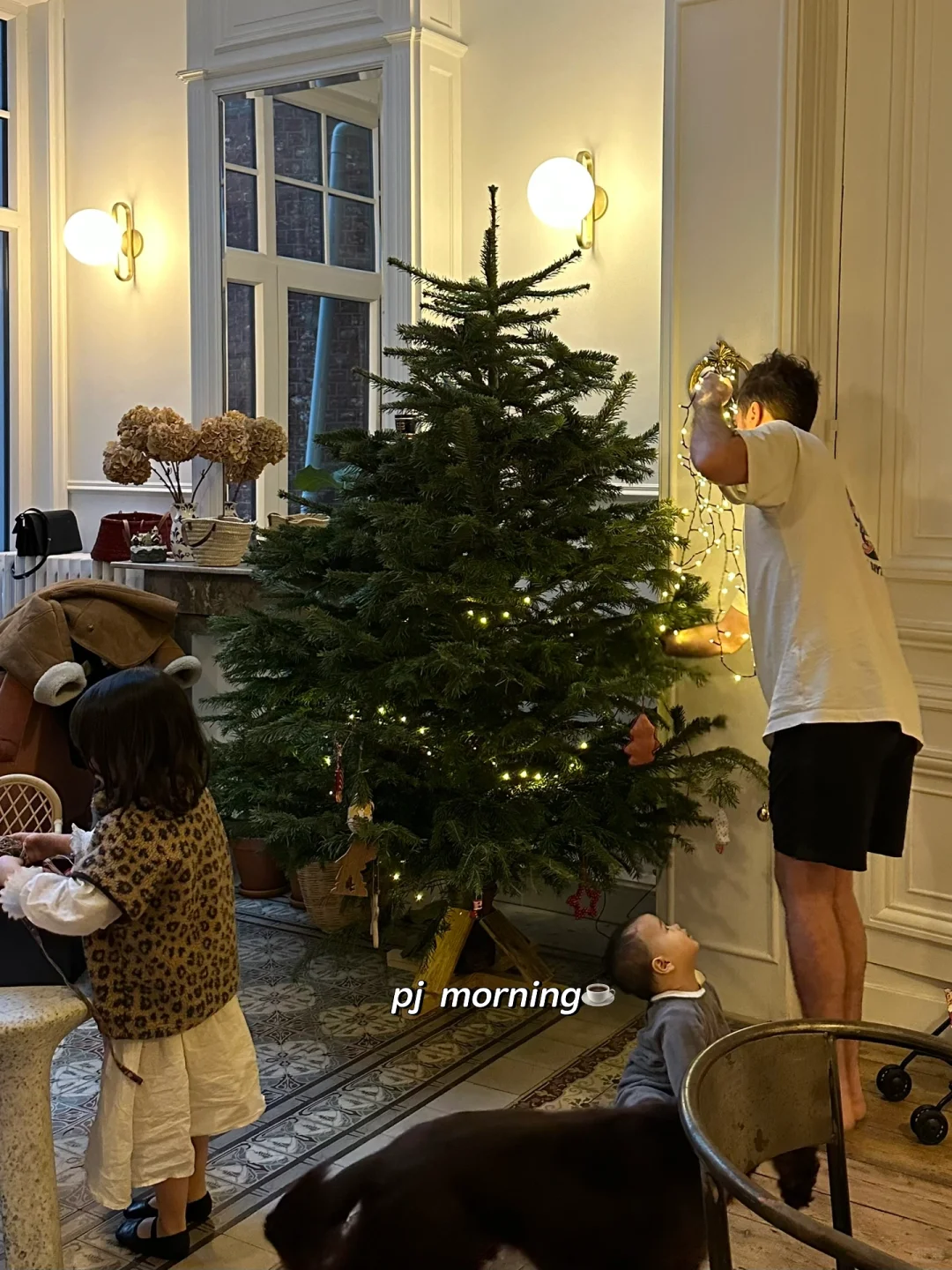 入冬日常☕️🎄