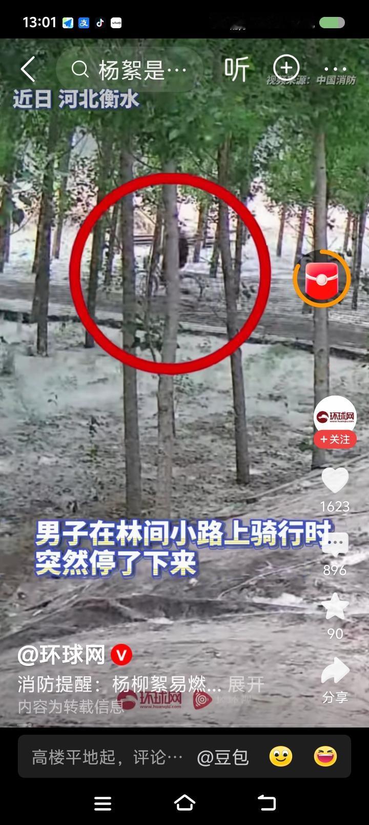这都什么人？——
据报道，一男子骑车去树林，停下来，点燃了杨柳絮，离开了。火势蔓