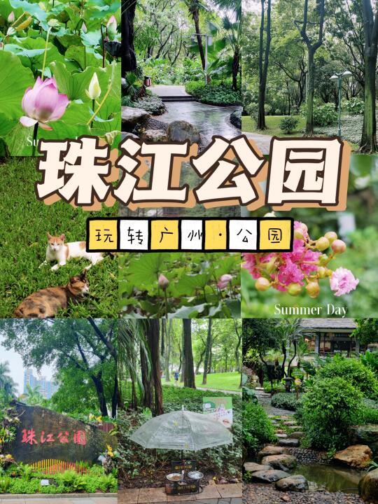 广州📍珠江公园：藏在CBD的城市氧吧