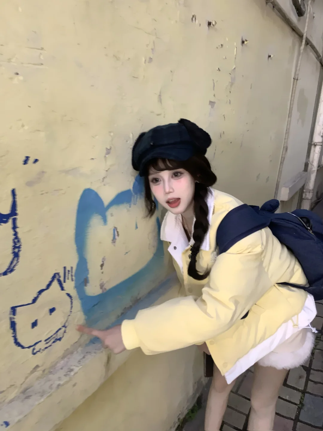 哪里来的小猫