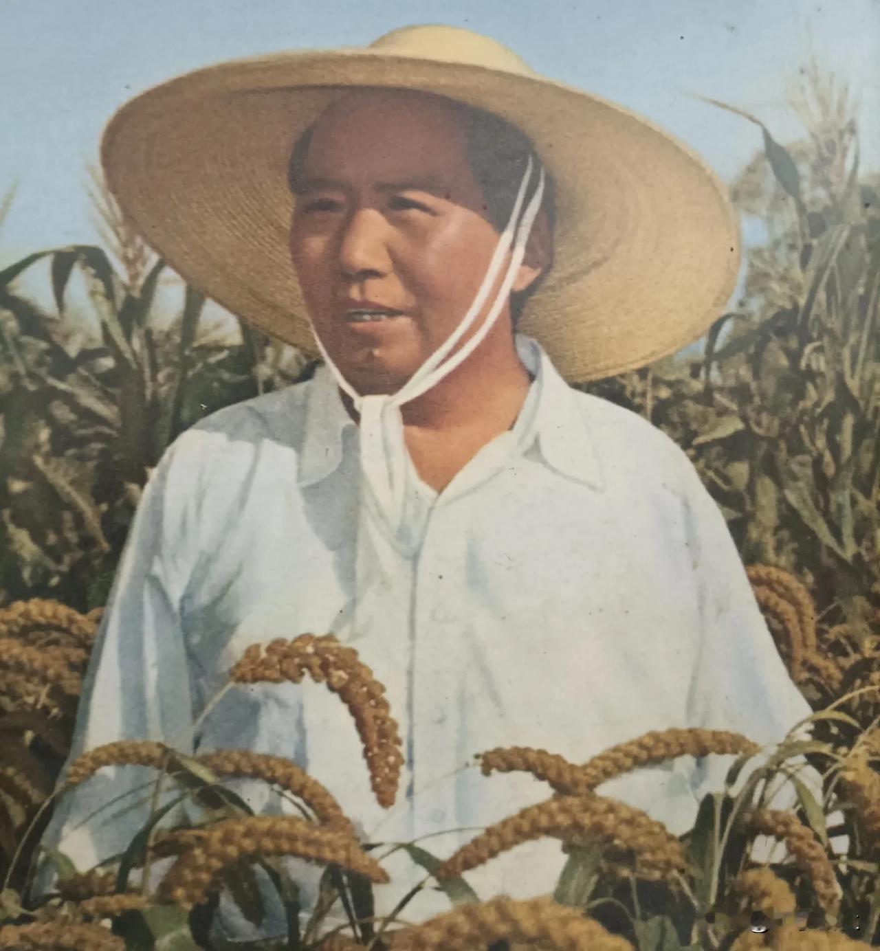 有人私信问，兔子怎么才能够打破鹰酱的封锁，怎么才能粉碎鹰酱21世纪打败兔子的阴谋