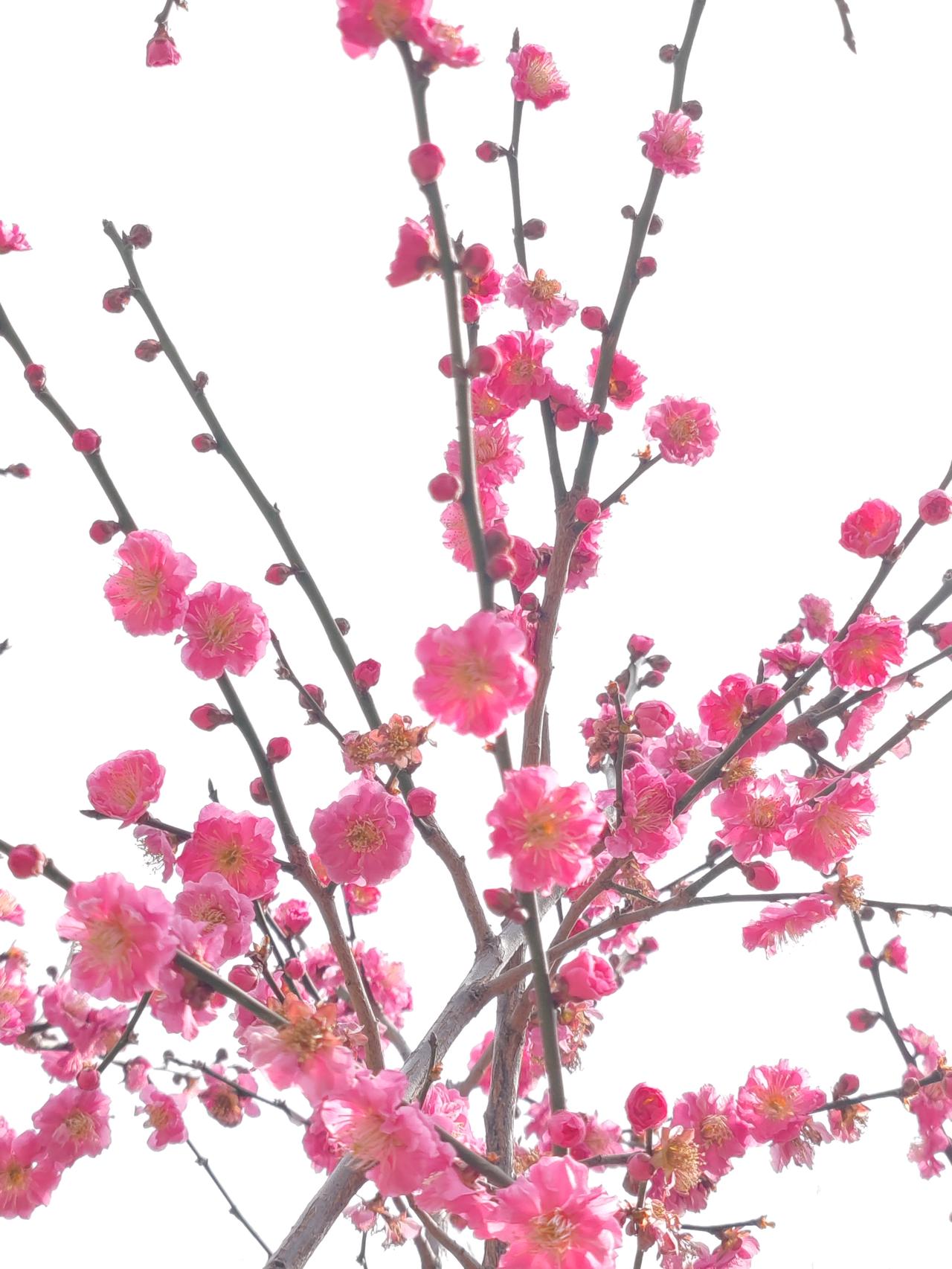 楼房隔音不佳，引发邻里纠纷的情况屡见不鲜。过去，此类纠纷大多以道德层面进行调解。