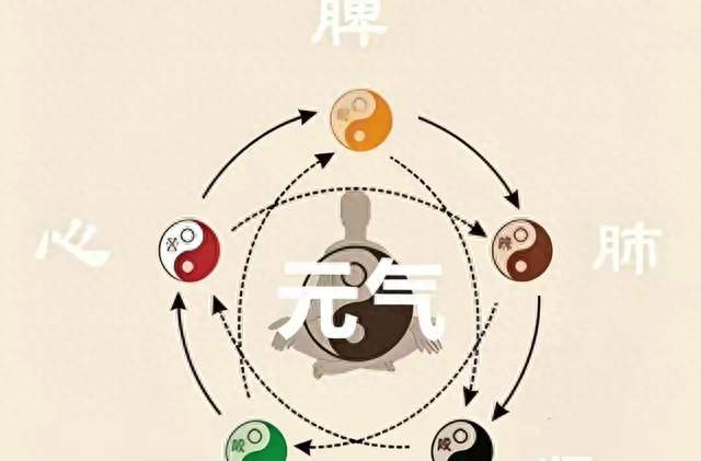 肚子硬邦邦、手脚凉冰冰、晚上翻来覆去—3个信号看你元气漏没漏