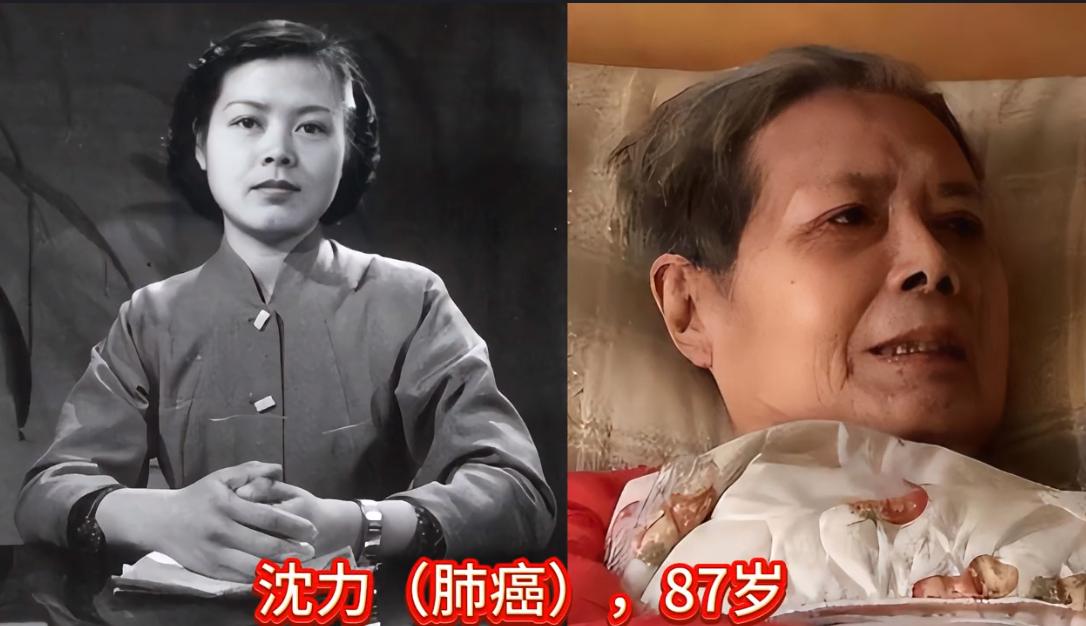 因为癌症离世的16位央视主持人、演员、歌手，天妒红颜，个个令人惋惜。

提起癌症
