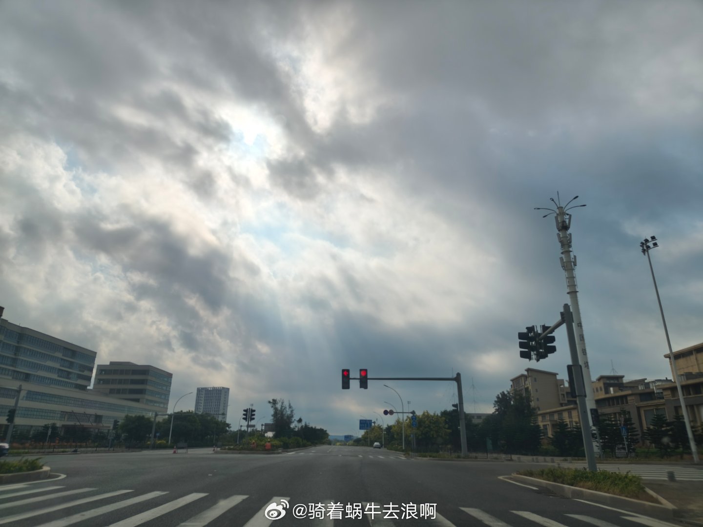 分享图片 