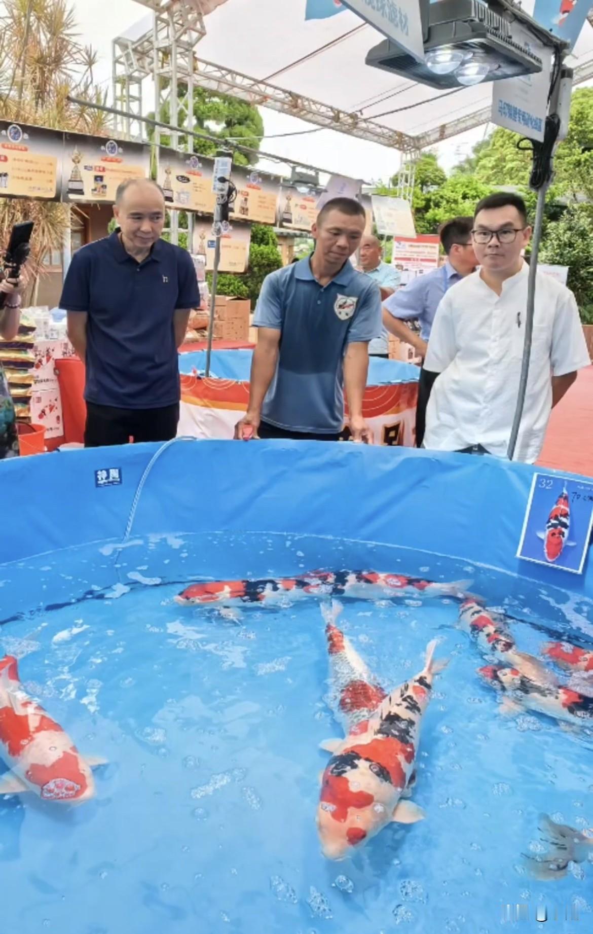 400万，买一条鱼。疯了吧？可潘志成不这么看。20多年前他抵押房子去日本买鱼的时