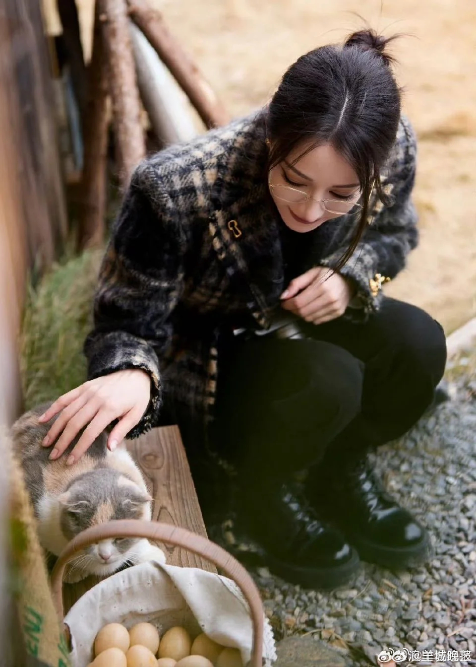 【明星猫咪同框照，你被谁萌到了？】TA和猫咪的合照好治愈！这样温柔又美好的画面，