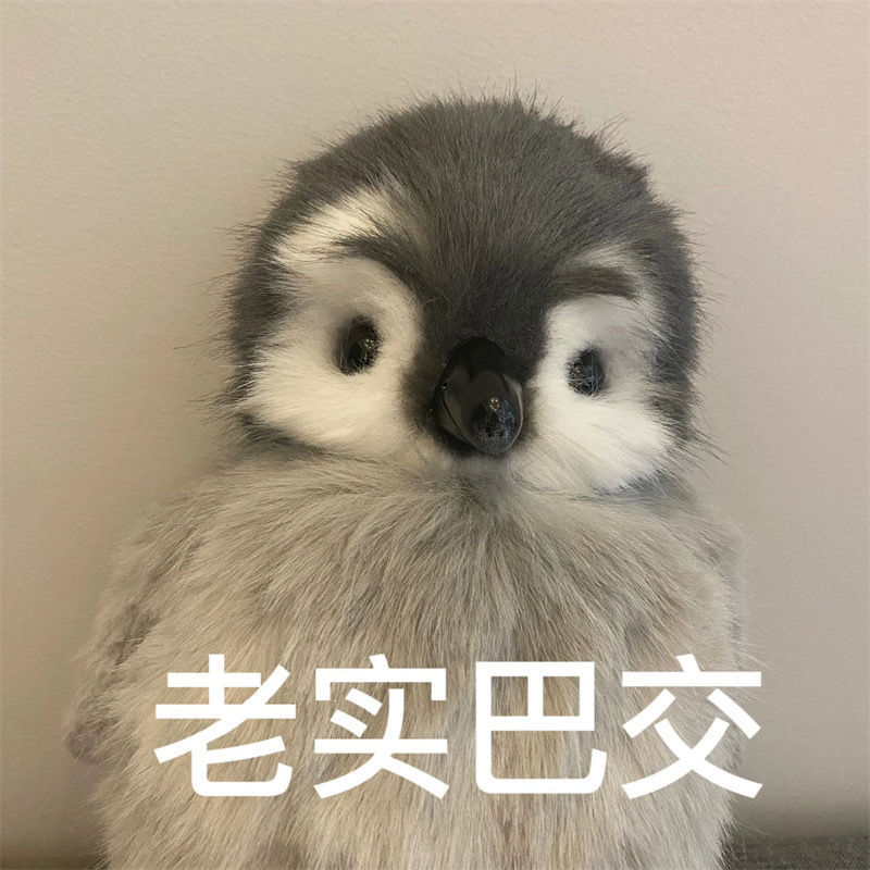 可爱小企鹅表情包：难以置信 作为成年人，我的夜生活只是玩手机[二哈][二哈] 