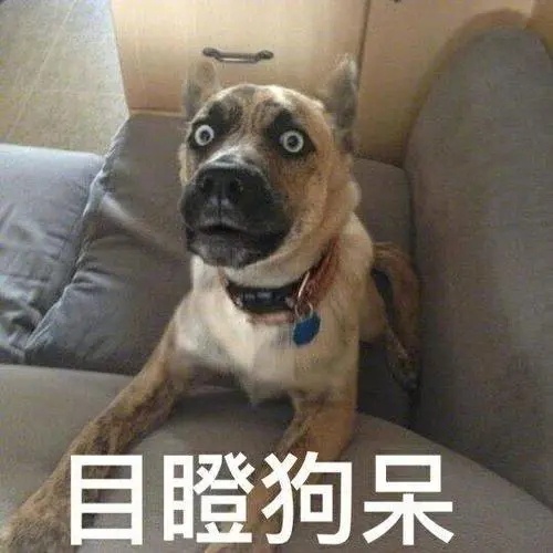 #谁家好人带鸭子去吃全鸭宴#  不知道小鸭子还认得自己的同伴不，害怕不！能下得去