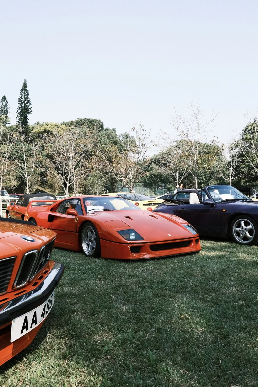 Top5 | 赛马会老爷车周年午宴