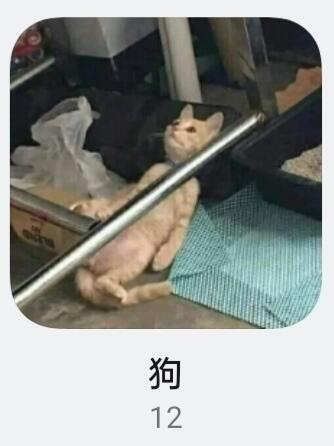 相册的智能分类好像不太智能